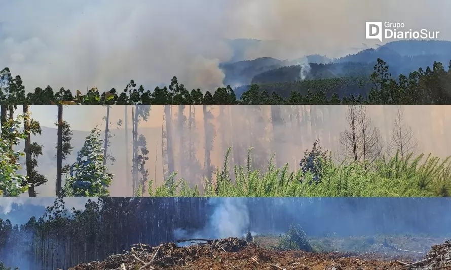 Los tres incendios que rodean a Valdivia al cierre de la jornada