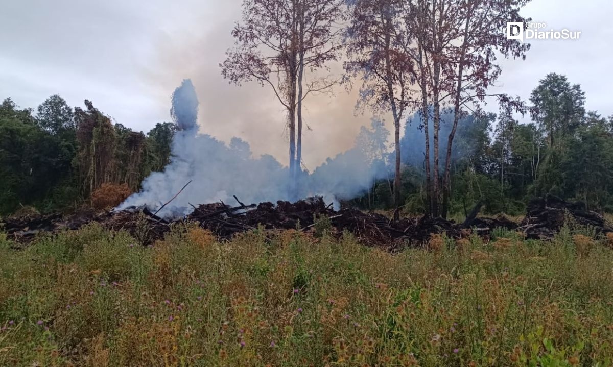 Dos incendios forestales se mantienen en combate en Los Ríos