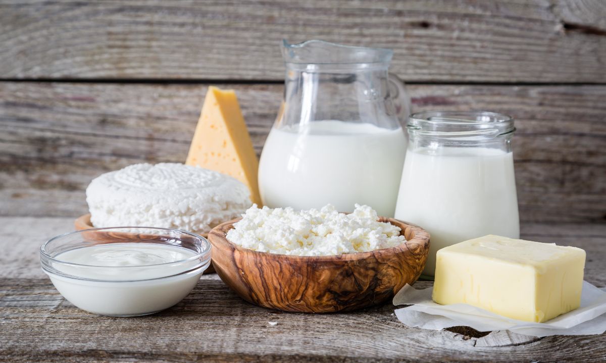 Innovación en la Industria Láctea: Potencial de los Antioxidantes y Polifenoles en Productos Lácteos