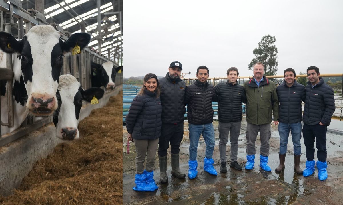 Alltech Chile acompaña al Dr. Frank Mitloehner en un recorrido a predios ganaderos en la zona central de Chile