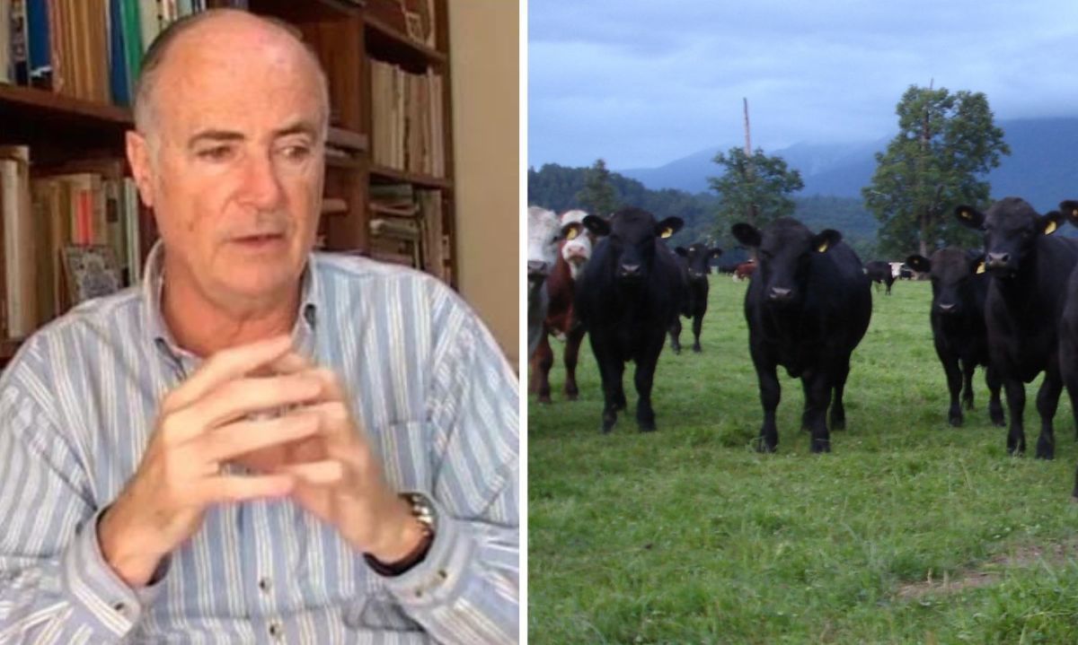 Invitan a encuentro de la cadena productiva y comercial de carne bovina "Perspectivas Ganaderas 2025-2027"