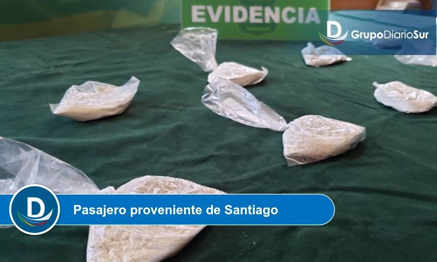 Can adiestrado detectó droga en terminal de buses de Valdivia 